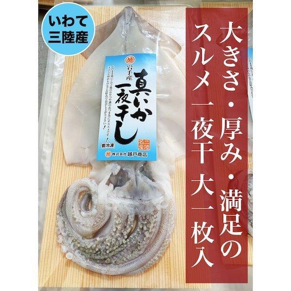 三陸産 真イカの一夜干し 「大」サイズ 食べごたえあります イカ するめいか スルメイカ BBQ バーベキュー キャンプ