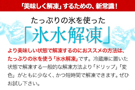 馬刺し 上赤身 ブロック 国産 熊本肥育 冷凍 生食用 たれ付き(100g×2)＋たてがみセット(50g×1) 肉 絶品 牛肉よりヘルシー 馬肉 平成27年28年 農林水産大臣賞受賞 葦北郡　津奈木町《90日以内に順次出荷(土日祝除く)》