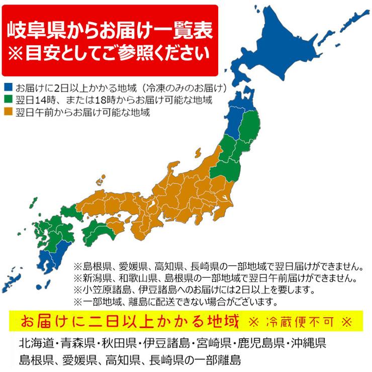 お歳暮 2023  肉 ギフト 飛騨牛 サーロイン A4〜A5等級 180g×2枚 ステーキ 化粧箱入 黒毛和牛 お祝 内祝 御祝 牛肉 和牛 帰省土産 冬ギフト