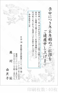 全96柄 2024年度版 喪中はがき印刷 普通郵便はがき「胡蝶蘭」 40枚 特選デザイン 62028_40