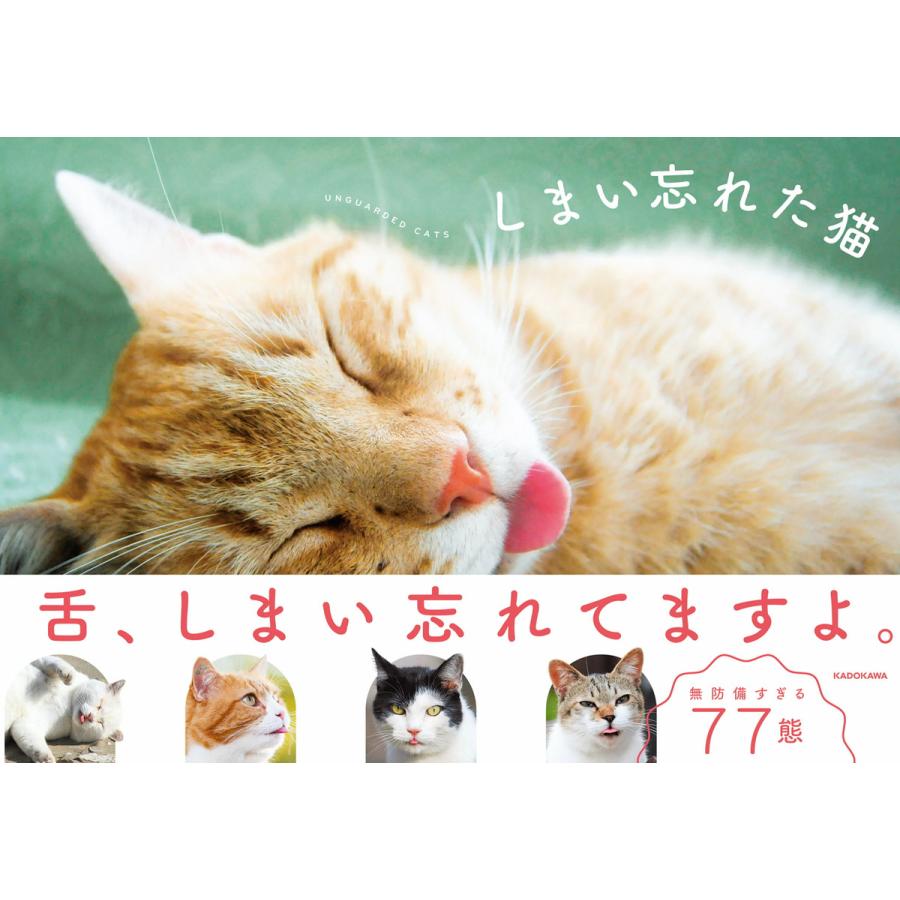 しまい忘れた猫 電子書籍版   編:KADOKAWA