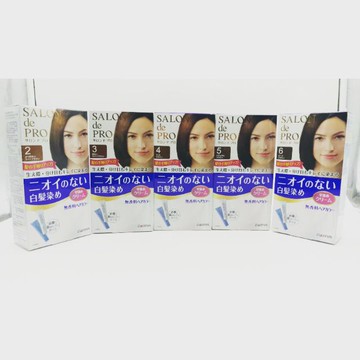 附發票✅日本原裝進口 DARIYA 沙龍SALON級 無香調白髮染劑