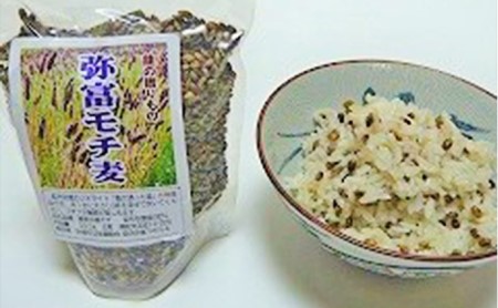 須佐　弥富もち麦セットもち麦　300g×5個