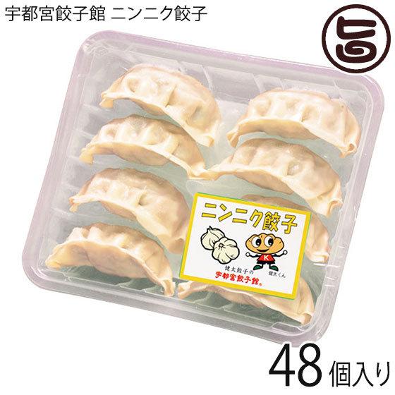 ニンニク餃子 8個入り×6パック 48個入り 宇都宮餃子館 栃木県 宇都宮 お取り寄せ 惣菜 冷凍