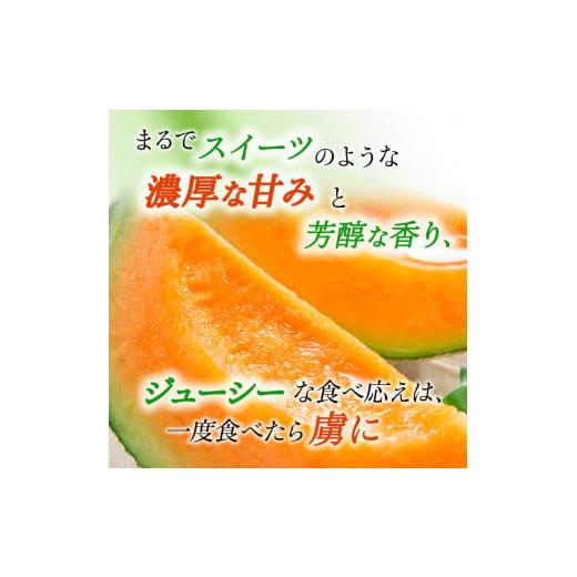 ふるさと納税 北海道 上富良野町 かみふらの 赤肉メロン 約1.6kg 2玉 セット 北海道 上富良野町 メロン 先行予約 令和6年発送