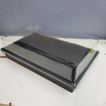 P老闆園藝~透明蓋 育苗盤專用悶箱 矮 單上蓋 育苗盤悶蓋