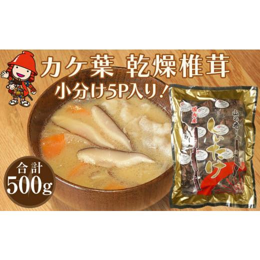 ふるさと納税 大分県 中津市 乾燥椎茸 カケ葉 椎茸 100g×5パック 乾しいたけ 干し椎茸 干ししいたけ 乾燥しいたけ 干しシイタケ 原木 大分県産 九州産 中津市…