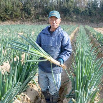 野菜と無農薬コシヒカリ2kgセット 野菜詰め合わせ 九州野菜 お取り寄せ グルメ