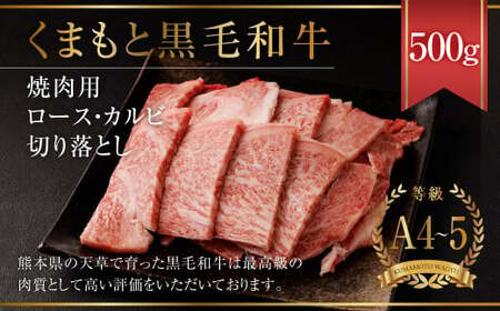 天草 黒毛和牛 焼肉用 ロース・カルビ 切り落とし 500g A4~A5クラス 牛肉