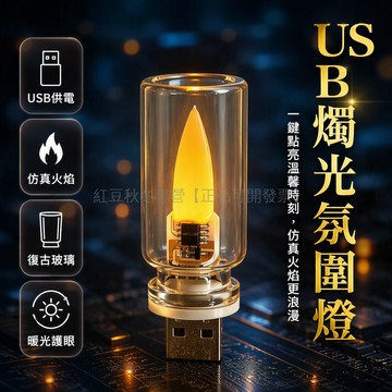 台灣出貨 USB 5V仿真火焰燈 LED小夜燈 透明磨砂玻璃殼 桌面裝飾燈 車載臥室氛圍燈