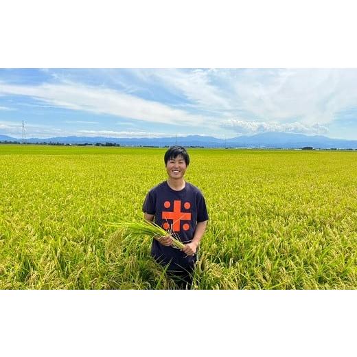 ふるさと納税 山形県 三川町 ecofarmすがわらの特別栽培米ひとめぼれ10kg