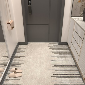 【輕奢防滑】入戶門墊 地墊 門廳墊 腳墊 地毯 客廳墊 玄關墊 家用進門墊 絲圈材質 吸水除塵 現代簡約 耐磨易清洗