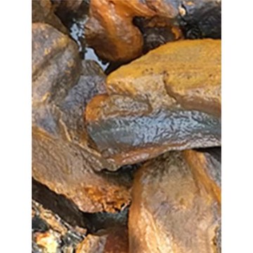 木魚石原礦石凈化礦化水質泡酒泡茶治病強體魚缸水過濾去青苔優惠