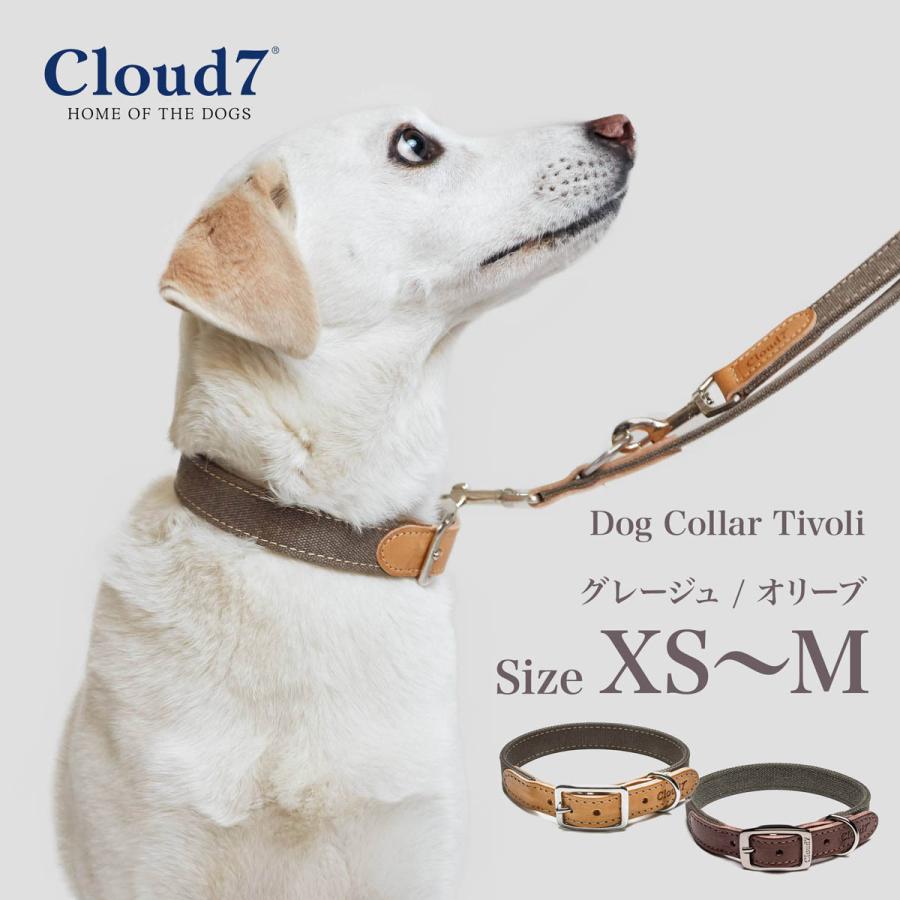 首輪 犬用 革 Cloud7 クラウド7 カラー チボリ グレージュ／オリーブ