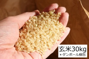  送料無料 宮城県 ひとめぼれ 玄米 30kg 玄米食 健康食 ※未調整玄米