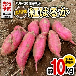 訳あり 茨城 八千代町産 さつまいも 紅はるか 生芋 土付き 無選別 約 10kg 長期熟成 べにはるか いも イモ 芋 おやつ デザート 秋 旬 農家直送 NONAKA HIROSHI FARM [AX032ya]