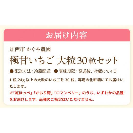 ふるさと納税 兵庫県 加西市 かぐや農園の極甘 いちご 大粒 30粒