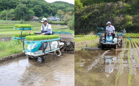 奥久慈 大子産米 令和５年産米 コシヒカリ （白米）10kg 茨城県 大子町 米 こしひかり