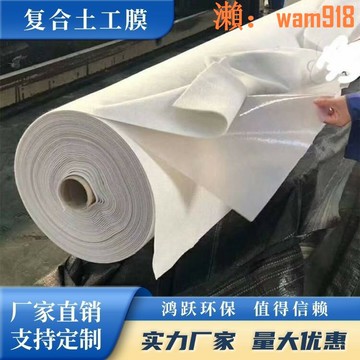 防滲膜防水土工布防水布復合土工膜魚塘護坡防滲膜土土工膜加厚型