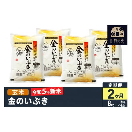 ふるさと納税 秋田県 横手市 《定期便2ヶ月》令和5年産 金のいぶき 8kg(2kg×4袋)×2回 計16kg