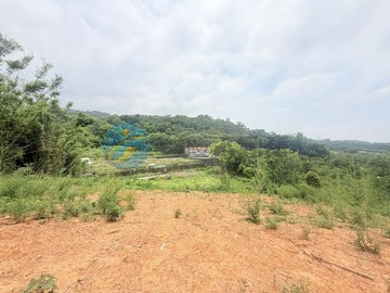 花博生活圈｜后科園區旁｜超低單價大坪數農地稀有釋出｜台中市后里區牛稠坑段