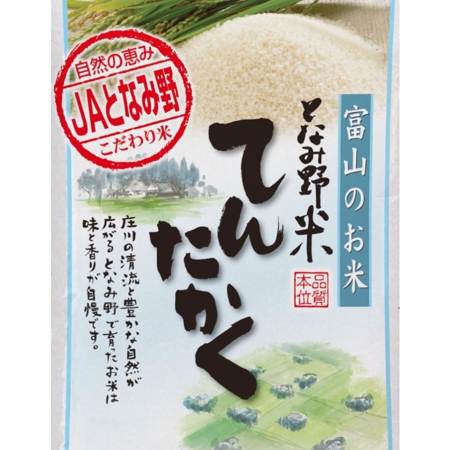 米 お米 白米 20kg てんたかく 富山県産 となみ野米 令和5年産 10Kg×2袋 送料無料