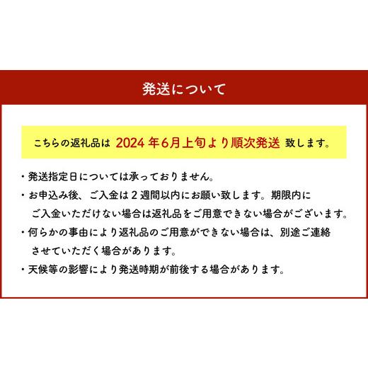 ふるさと納税 福岡県 大刀洗町 福岡県産 SDGs米糠堆肥で作ったメロンより甘い「博多あまっコーン(おおもの)」4.5kg以上