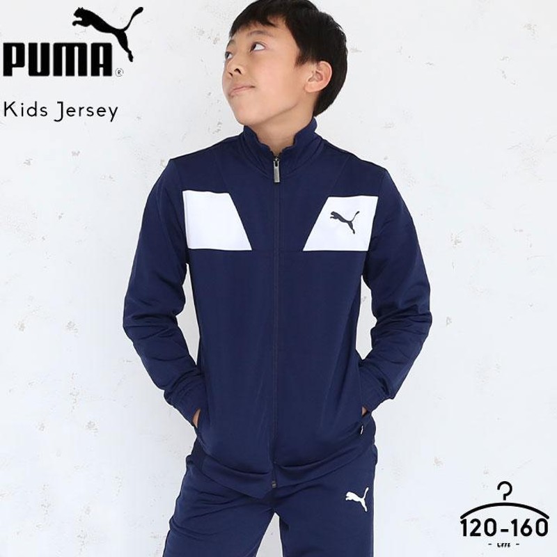 PUMA 裏付ジャージ上下