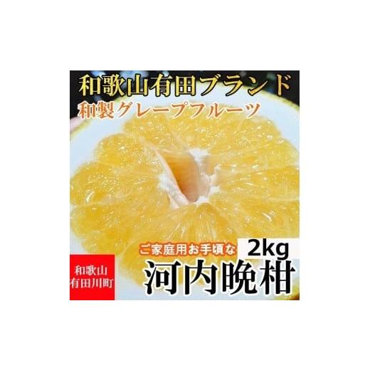 ふるさと納税 和歌山県 有田川町 河内晩柑 2kg 和製グレープフルーツ ブラン 和歌山 ブランド 有田みかん ご家庭用