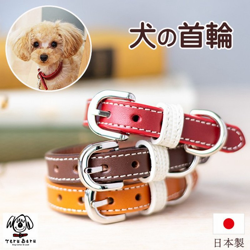 犬 首輪 犬首輪 犬の首輪 おしゃれ かわいい ブランド 迷子札 レッド 小型犬 小型犬用 超小型犬 いぬ くびわ 革 レザー 皮 軽い 柴犬 チワワ M S 通販 Lineポイント最大0 5 Get Lineショッピング