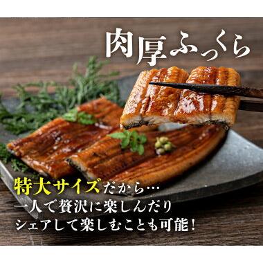 国産うなぎ 5尾 約150g×5本 鰻 山椒 タレ付き ウナギ 冷凍便 お取り寄せ ギフト 送料無料