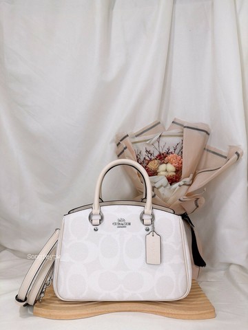 美國代購????台灣現貨 Coach 新款小黛妃包 手提斜背包