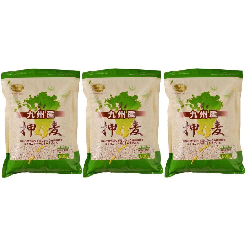 石橋工業 九州産押麦 800g×3個