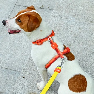 【VitalWave 元氣光波】漸變山海系列工字型胸背帶