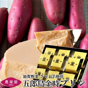 さつまいも プリン 五郎島金時プリン 12個入 石川県産 加賀野菜 さつま芋 スイーツ 焼きいも ぷりん