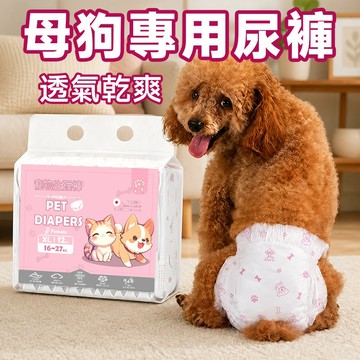 發情期專用加厚寵物生理褲 瞬吸鎖血 乾爽防漏 不沾地板 母狗適用