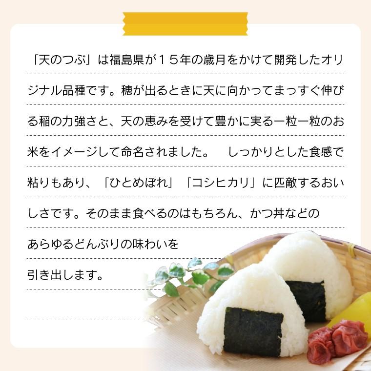 新米 令和５年 お米 10kg 福島県産 天のつぶ 無洗米 送料無料 精米  米