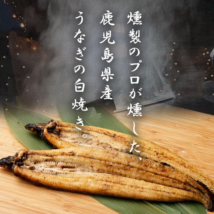 燻製香る うなぎ白焼き 2尾 合計約240g(約120g×2尾) 鹿児島県産 うなぎ ウナギ 鰻 うなぎの白焼き 鰻白焼 白焼 白焼き ふっくら 燻製塩