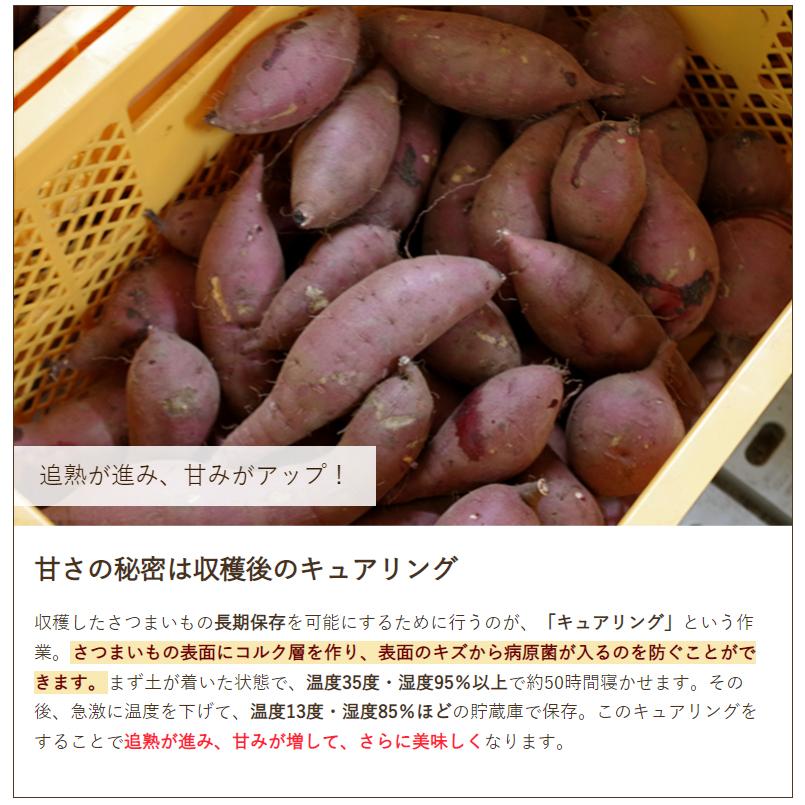 新潟県産さつまいも 紅はるか 2kg 後払い決済不可 はまたろう 送料無料