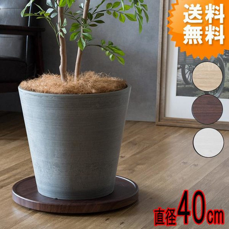 直径40cm キャスター付き プランタースタンド 植木鉢台 キャスター台 鉢皿 観葉植物 北欧 おしゃれ マルチボード 平台 完成品 マルチスタンド トレーノ Mst 400 通販 Lineポイント最大0 5 Get Lineショッピング