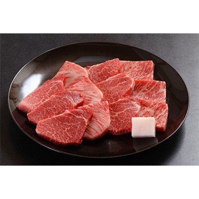 ふるさと納税 高山市 A5飛騨牛 焼肉(ロース・ヒレ)400g d520