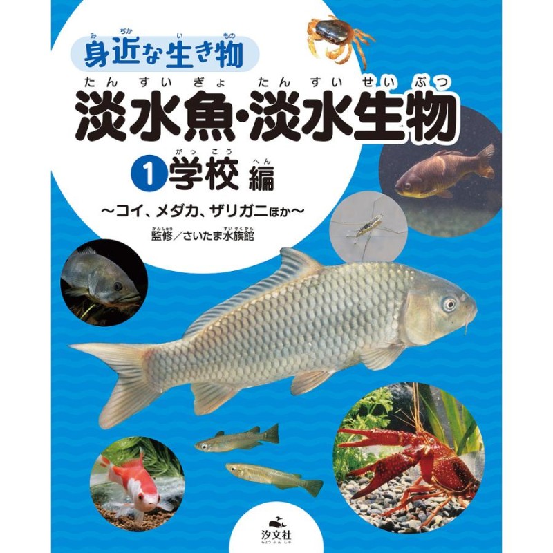 メダカと暮らす 「メダカを飼う」すべての人へオススメしたい最新品種と飼い方・殖やし方ガイド