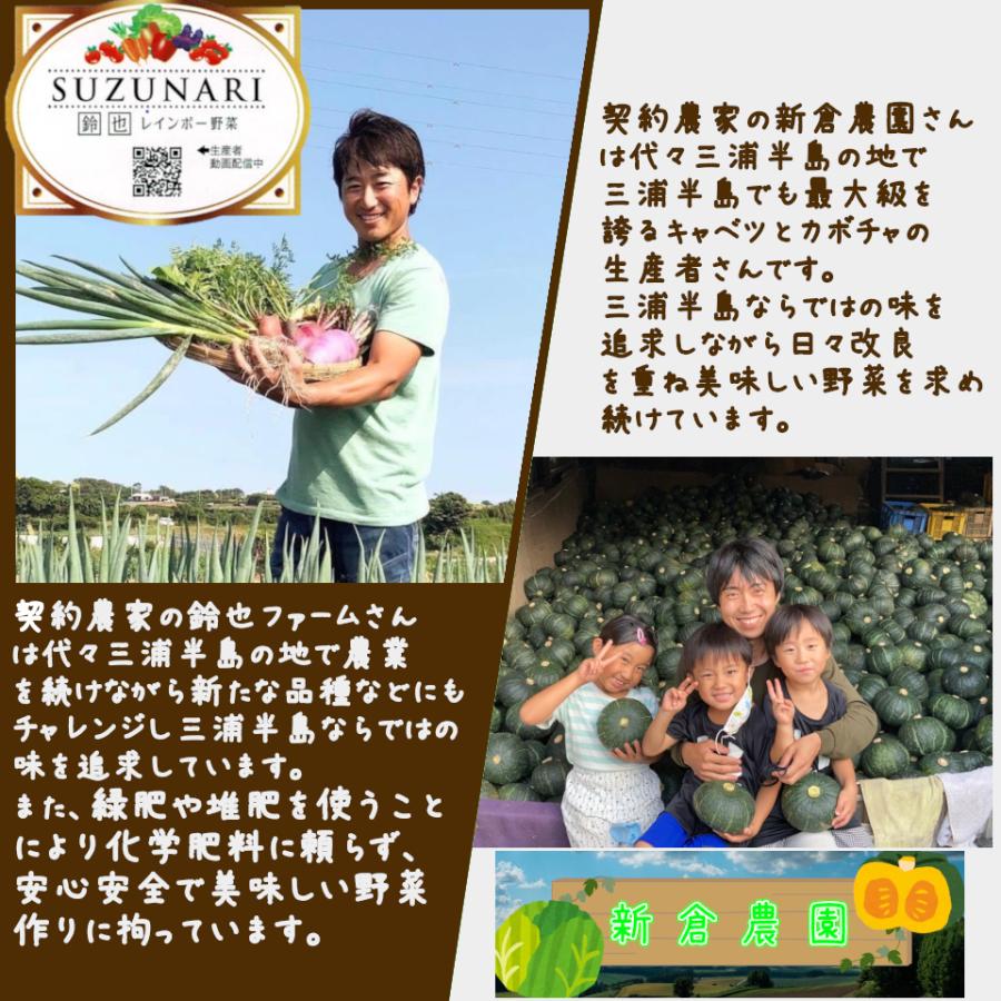 三浦半島直送 訳あり おまかせ 神奈川県産野菜セット 7品 旬の野菜詰め合せ お任せ野菜詰め合わせ 野菜盛り合わせ 送料半額