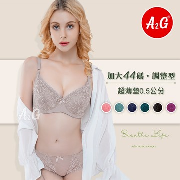 【A2G】隔日到貨【E罩杯】台灣現貨 大碼內衣 加大44碼 側邊加高 立體杯 三排四扣 寬版內衣 調整型內衣 2031