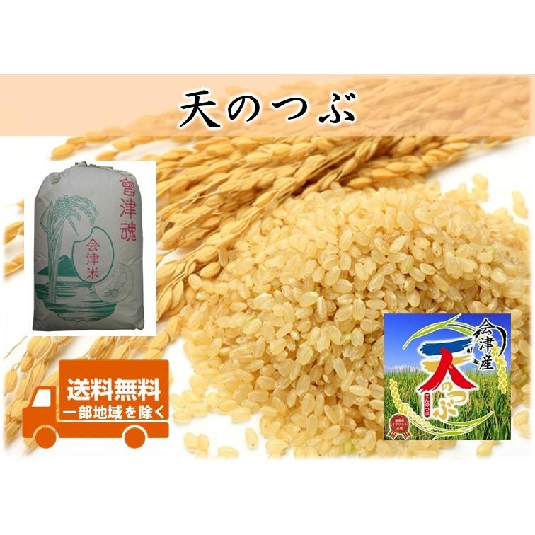 令和5年産新米 会津産天のつぶ 調整玄米30kg