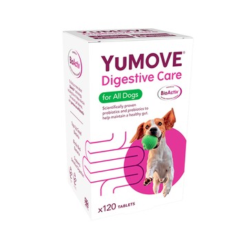 【漫威國際】動物醫院｜24H出貨｜Yumove優骼服 犬樂寶120錠 維持消化系統自然平衡/減少脹氣/幫助排便成形
