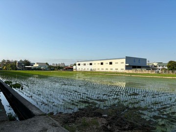 《獨家》便宜大里段方正農地｜台中市大里區大里段