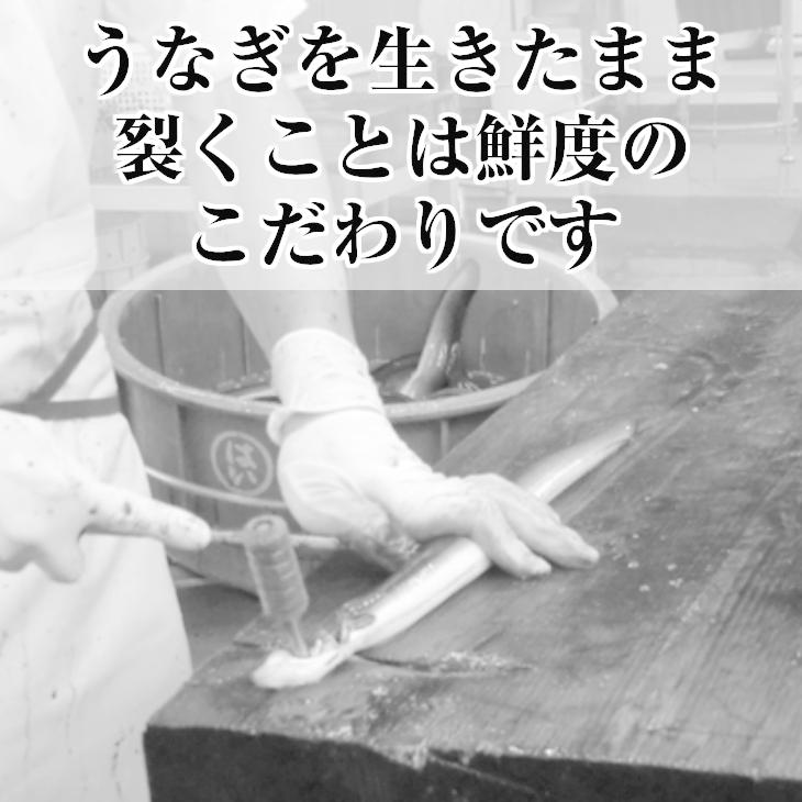 うなぎ 白焼 3尾入り 浜名湖産 送料無料 国産 父の日 お中元 土用の丑の日 ギフト お返し 内祝 ウナギ 浜名湖 お取り寄せ 土用の丑 グルメ プレゼント 鰻 白焼き