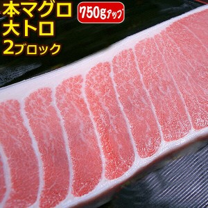 マグロ 大トロ 腹身 750g UP まぐろ 送料無料 北海道・沖縄へは別途送料 中央市場直送 とろ目利きの自信 財木品質 業務用 まぐろ トロ 大