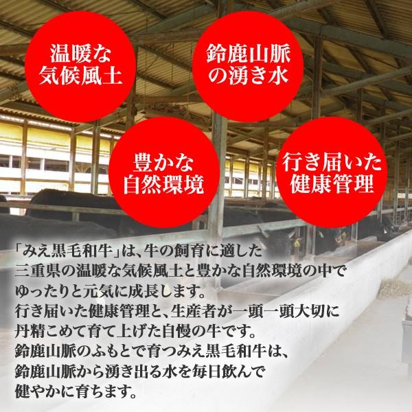 みえ黒毛和牛ローススライス（しゃぶしゃぶ 用）＜200g＞ 三重県 ブランド牛 黒毛和牛 和牛 焼きしゃぶ